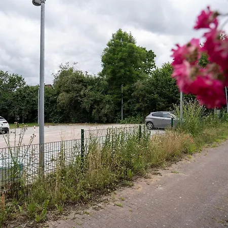 Pier 67 Ostseeglueck Neustadt * Roge